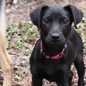 Meet your Posher, Sherry